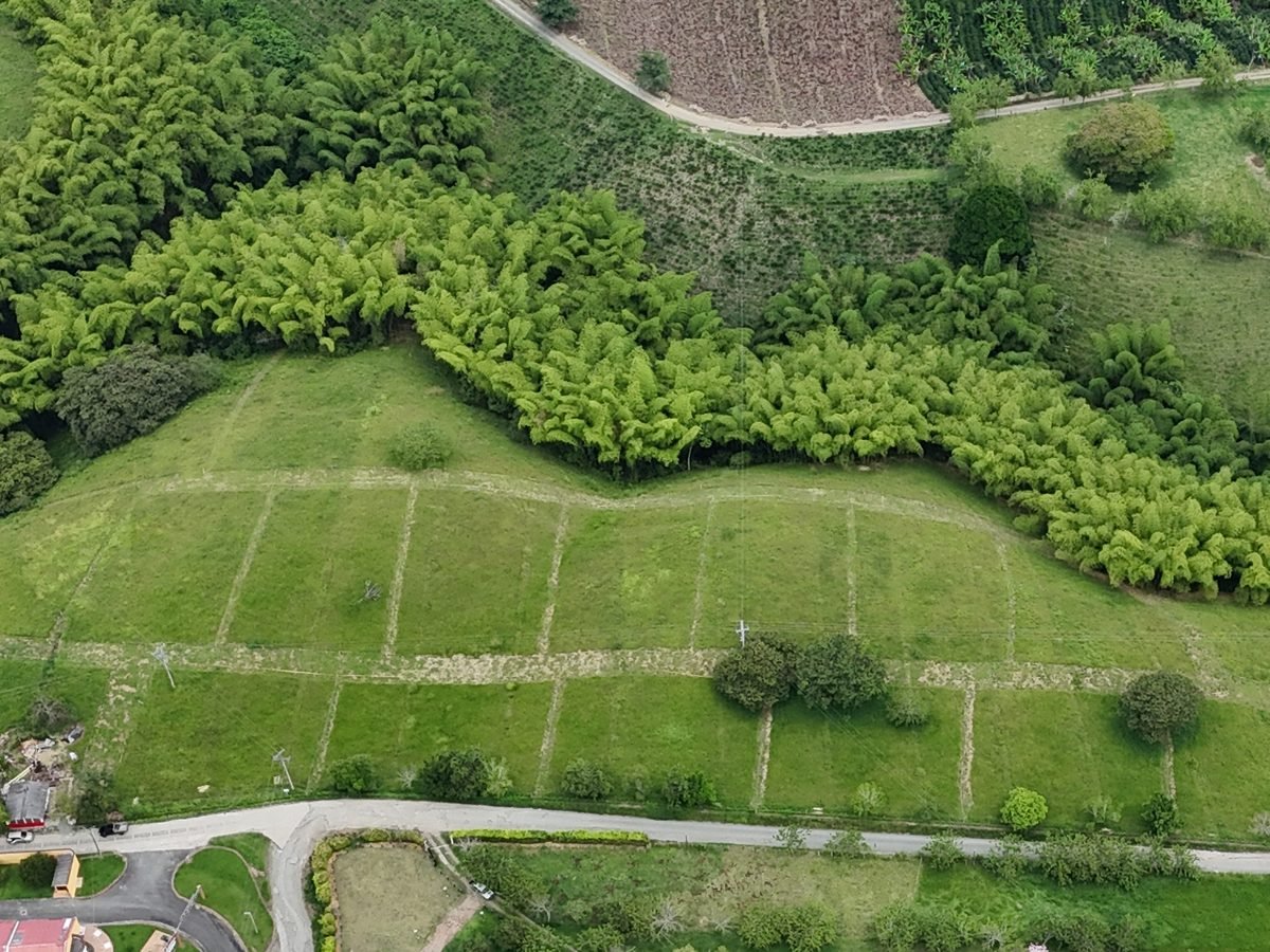 Pendiente suave del terreno y trazado de lotes de El Rosario Naturalmente